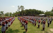 ইভেন্ট : বি এইচ সি এস উচ্চ বিদ্যালয় , B.H.C.S High School