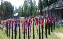ইভেন্ট : বি এইচ সি এস উচ্চ বিদ্যালয় , B.H.C.S High School