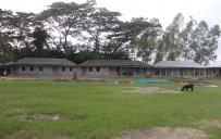 ইভেন্ট : বি এইচ সি এস উচ্চ বিদ্যালয় , B.H.C.S High School